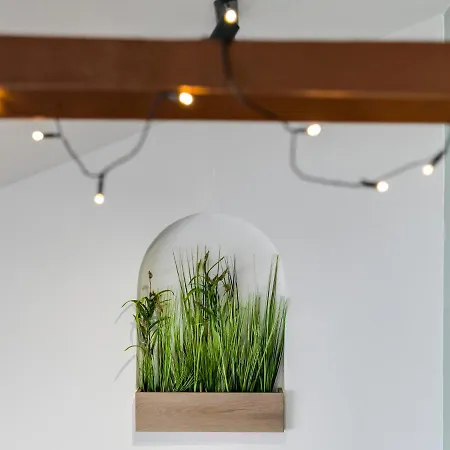 Fantattic Center Apartmán