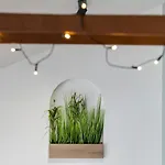Fantattic Center 아파트